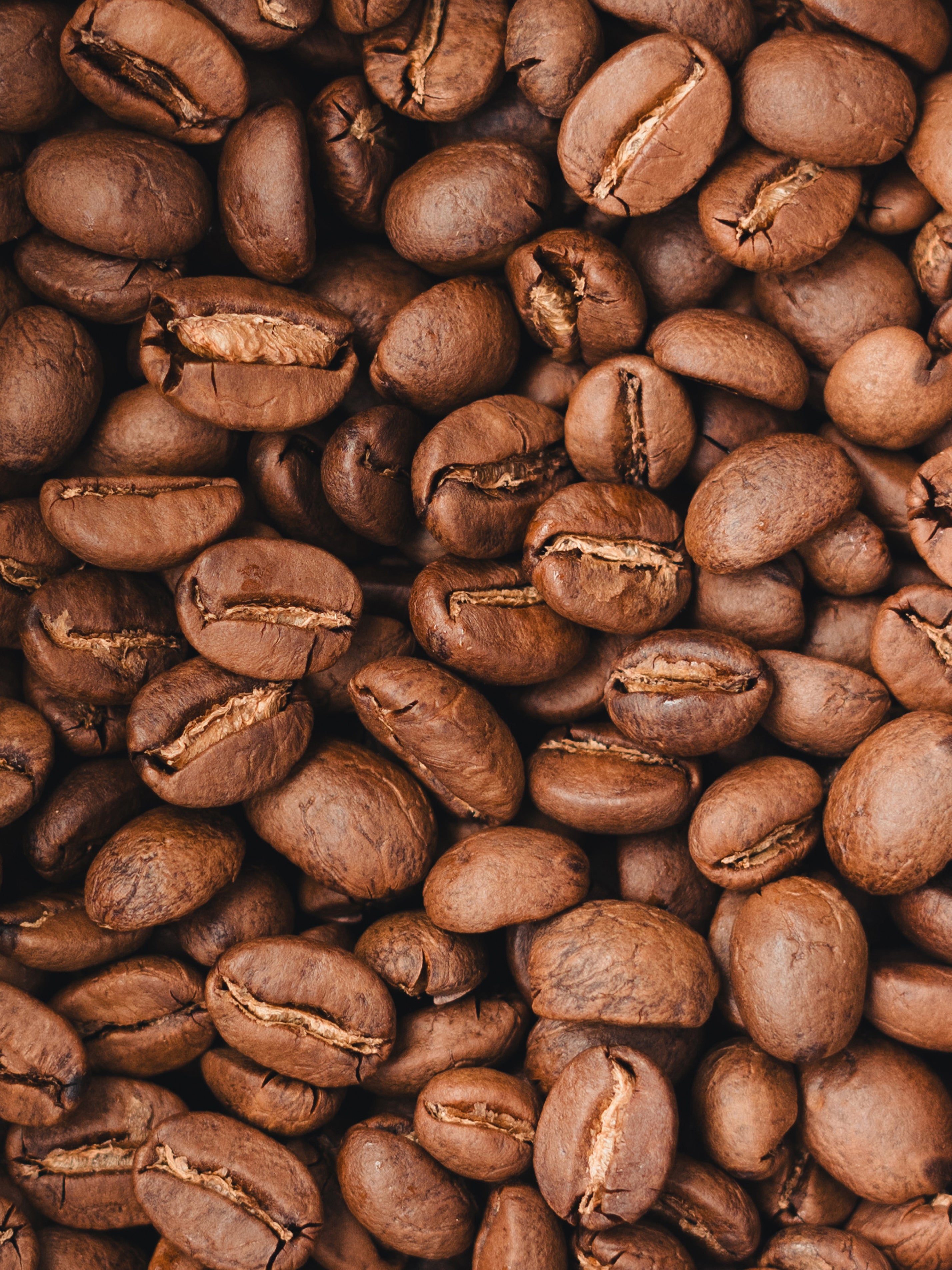 Light Roast